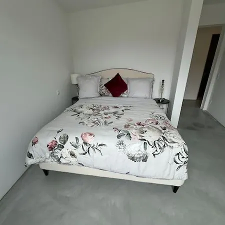 Apartment Neue Gartenwohnung Mit Sicht Auf Den Luganersee